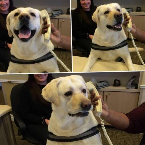 Klyker Picdump #1111 (54 photos)