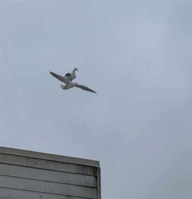 Klyker Picdump #1111 (54 photos)