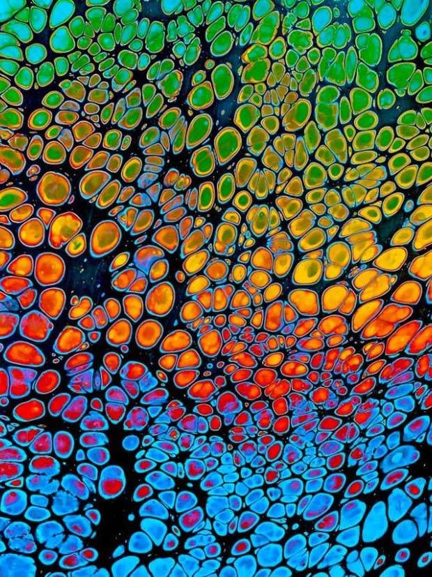 Soothing Pictures For Perfectionists #9 (42 photos)