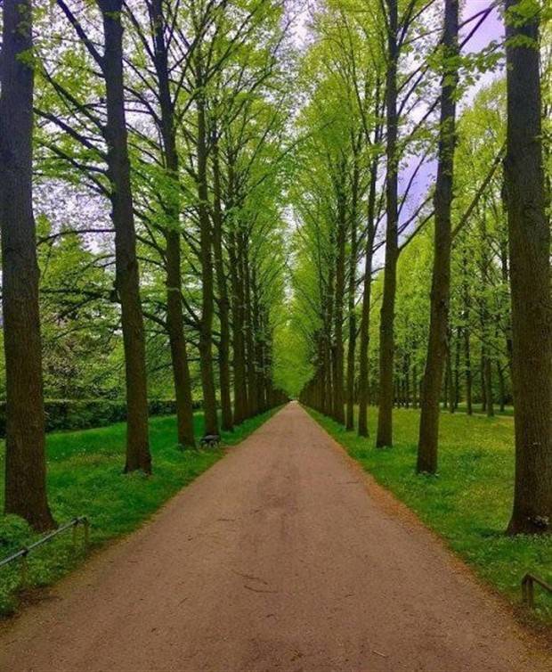 Soothing Pictures For Perfectionists #9 (42 photos)