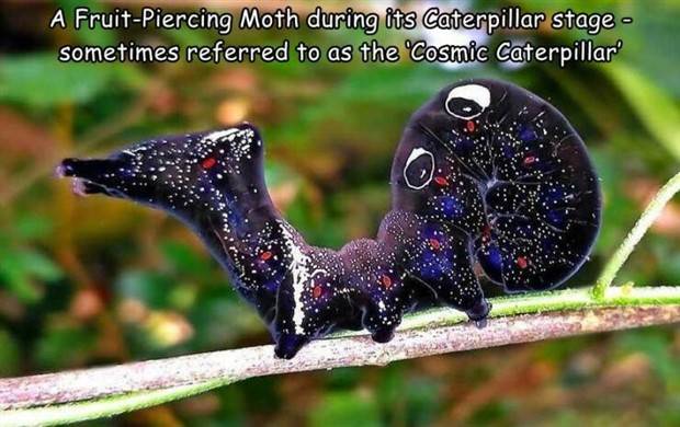 pics eith captions 15 Random Pictures With Captions #32 (43 photos)