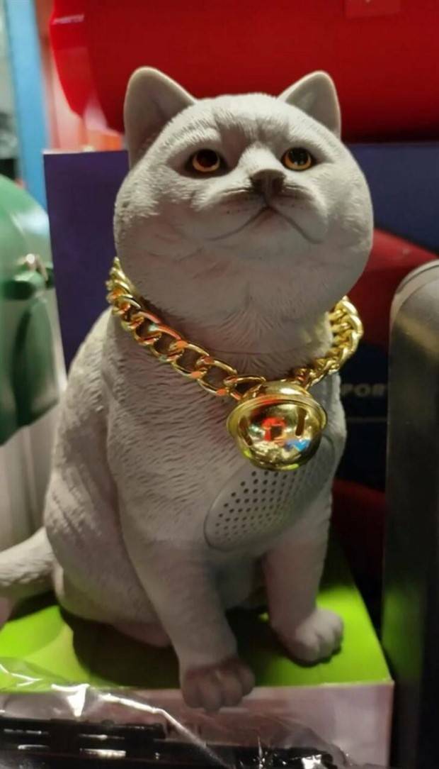 Designs That Suck #10 (43 photos)