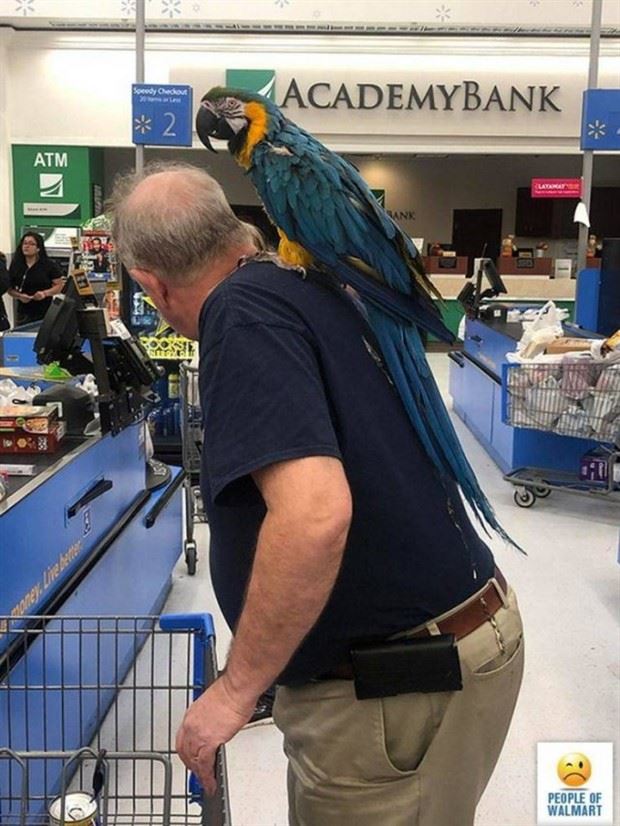 walmart customers 32 Welcome To Walmart #25 (39 photos)
