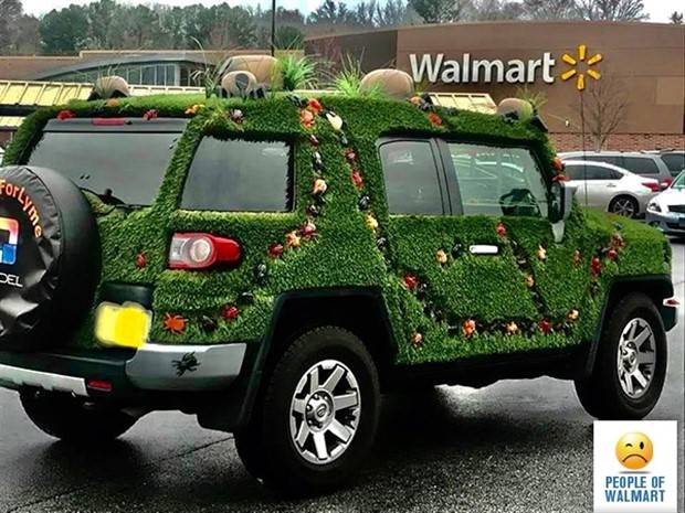 walmart shoppers 11 Welcome To Walmart #26 (37 photos)