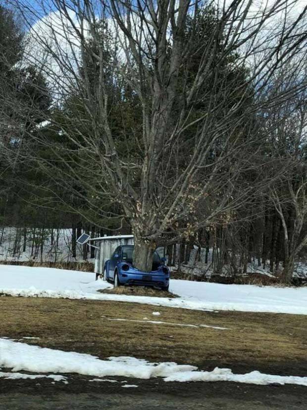 Awesome Pictures You Shouldn’t Miss #38 (38 photos)