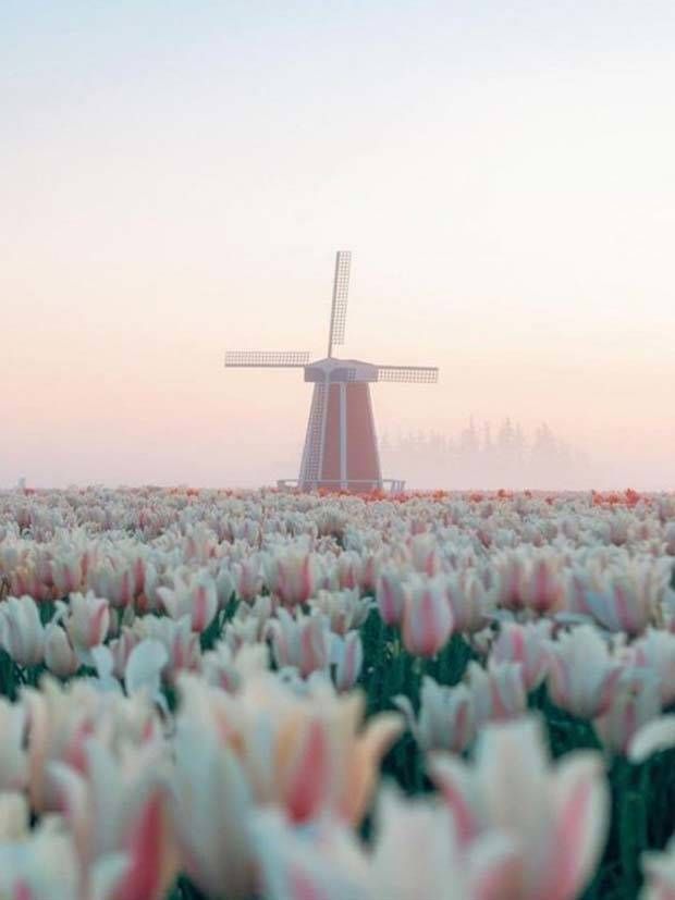 Awesome Pictures You Shouldn’t Miss #38 (38 photos)