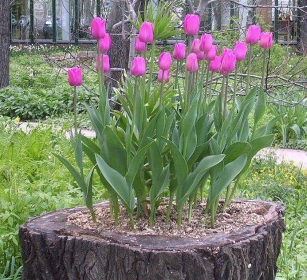 Awesome Pictures You Shouldn’t Miss #38 (38 photos)