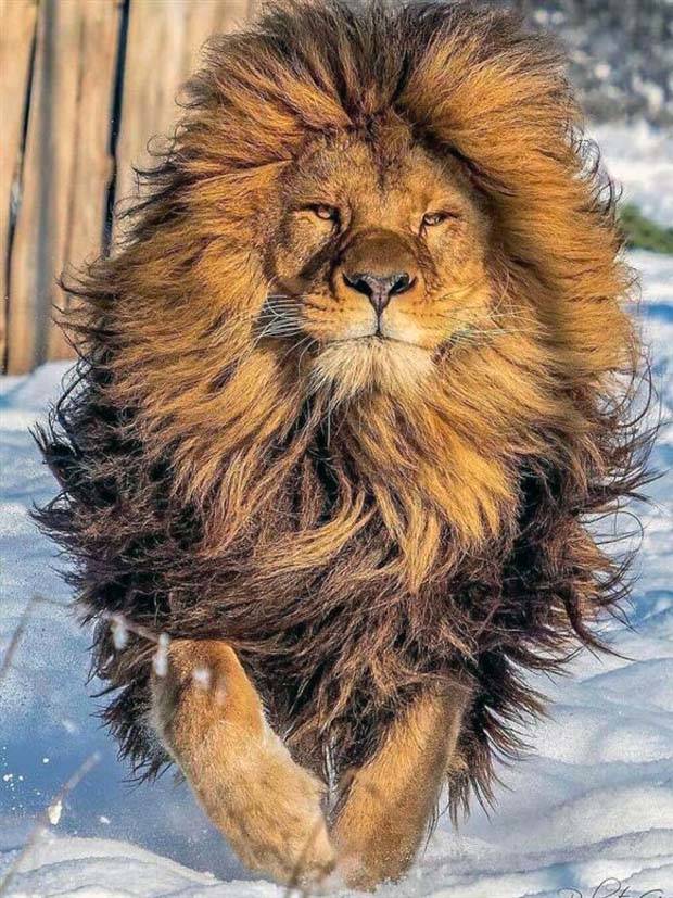 Awesome Pictures You Shouldn’t Miss #38 (38 photos)