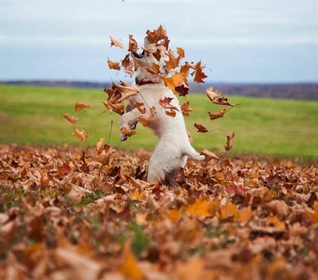 Awesome Pictures You Shouldn’t Miss #38 (38 photos)