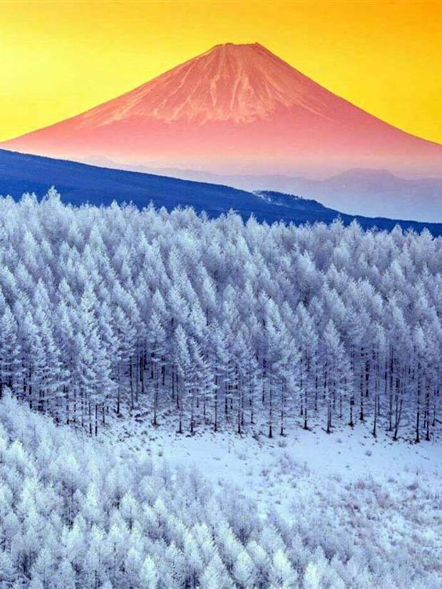 Awesome Pictures You Shouldn’t Miss #38 (38 photos)