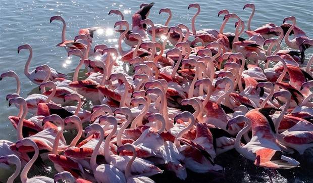 Awesome Pictures You Shouldn’t Miss #38 (38 photos)