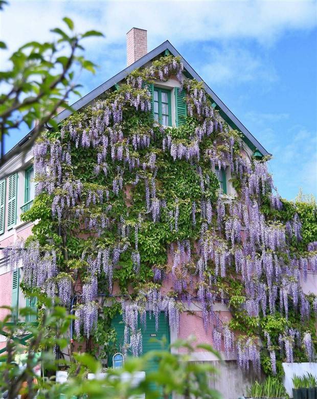 Awesome Pictures You Shouldn’t Miss #38 (38 photos)