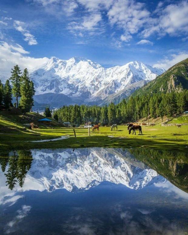 Awesome Pictures You Shouldn’t Miss #38 (38 photos)