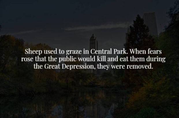 Creepy Facts Are Back #5 (38 photos)