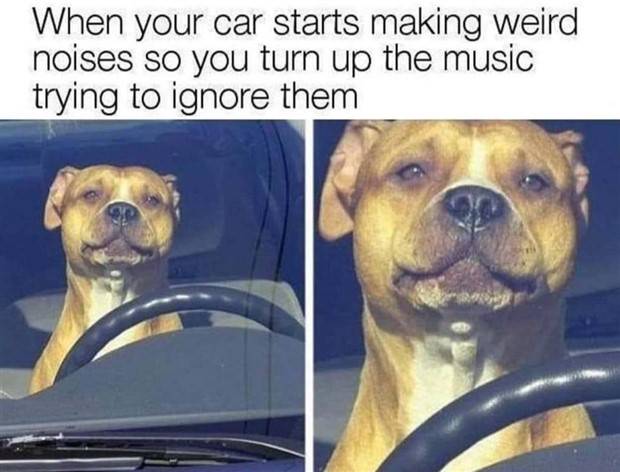 funny pics memes 20 Funny Pics And Memes #37 (39 photos)