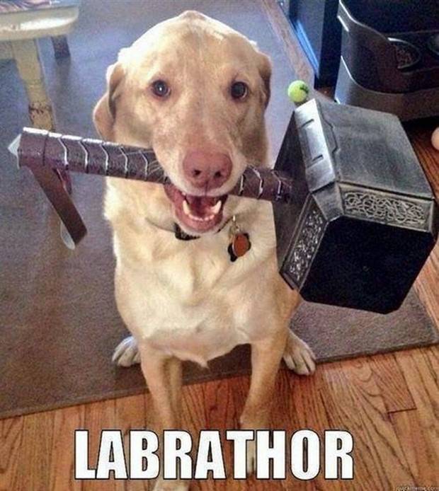 funny pics memes 34 1 Funny Pics And Memes #38 (38 photos)