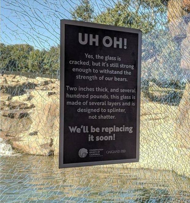 Funny Signs #8 (36 photos)