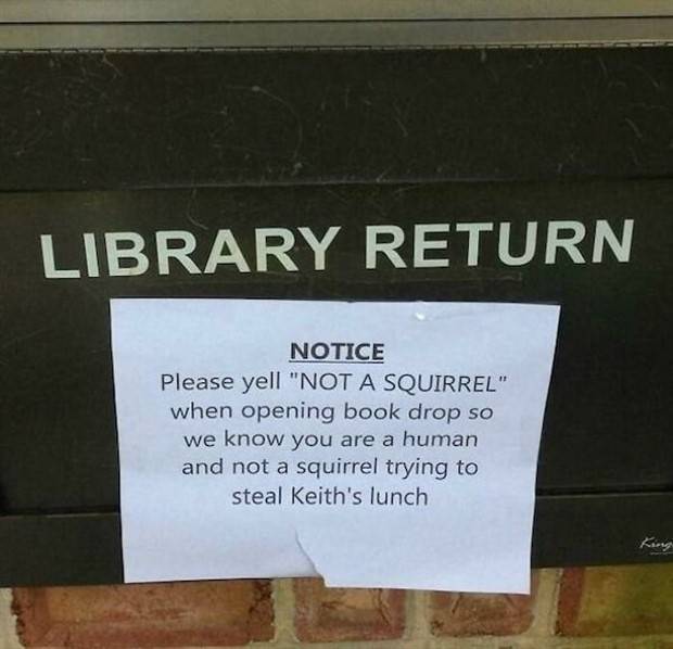 Funny Signs #8 (36 photos)