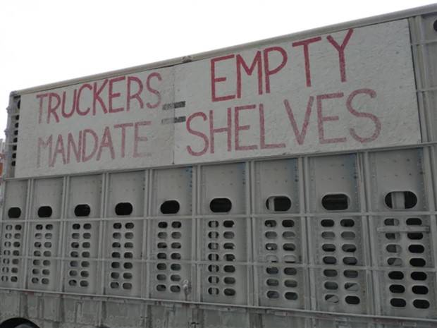 Funny Signs #8 (36 photos)