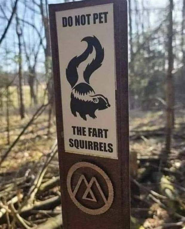 Funny Signs #8 (36 photos)