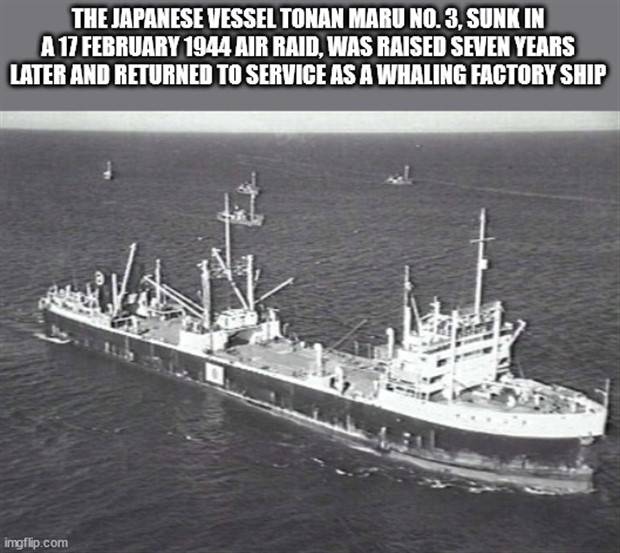 interesting trivia 6 It’s Time For Some Cool And Interesting Facts #314 (41 photos)