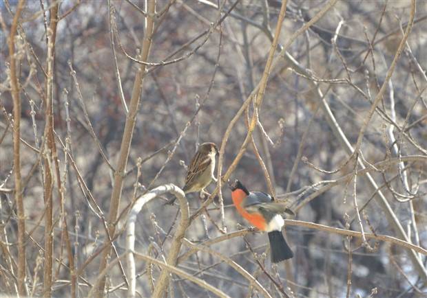 Klyker Picdump #1136 (55 photos)