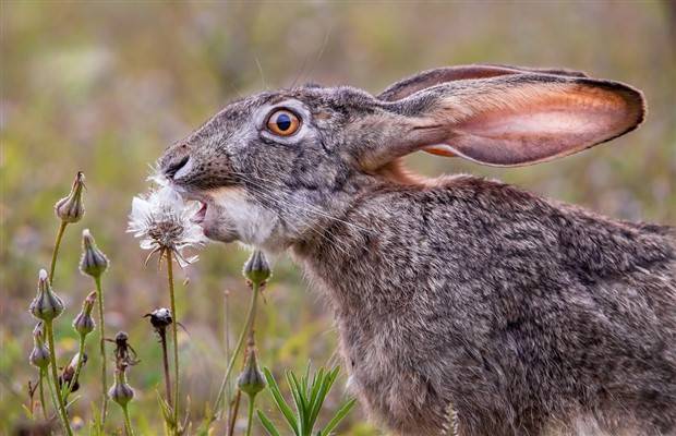 Klyker Picdump #1136 (55 photos)