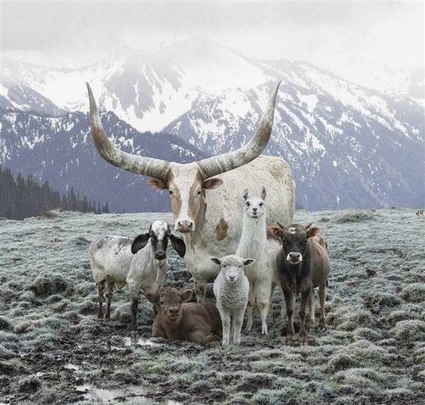 Klyker Picdump #1136 (55 photos)