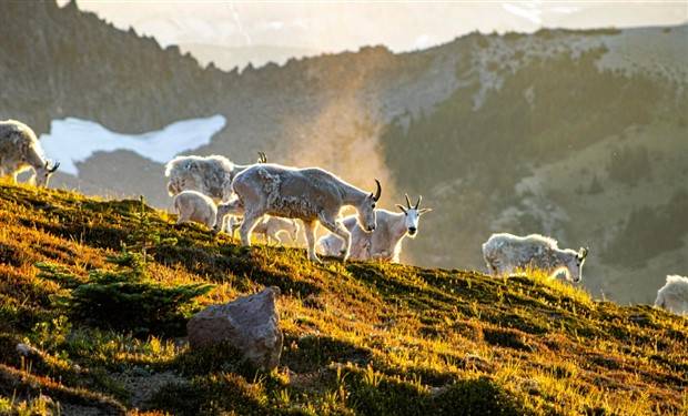 Klyker Picdump #1136 (55 photos)