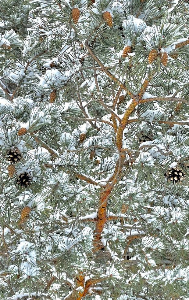 Klyker Picdump #1136 (55 photos)