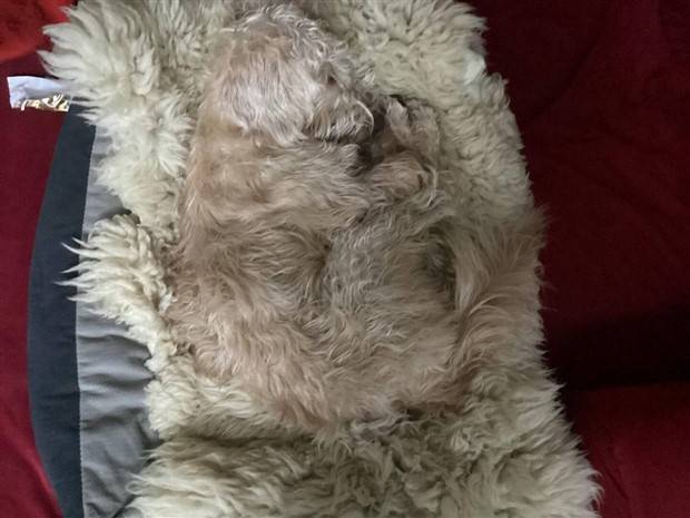 Klyker Picdump #1136 (55 photos)