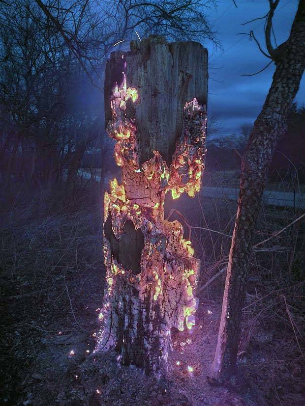 Klyker Picdump #1136 (55 photos)