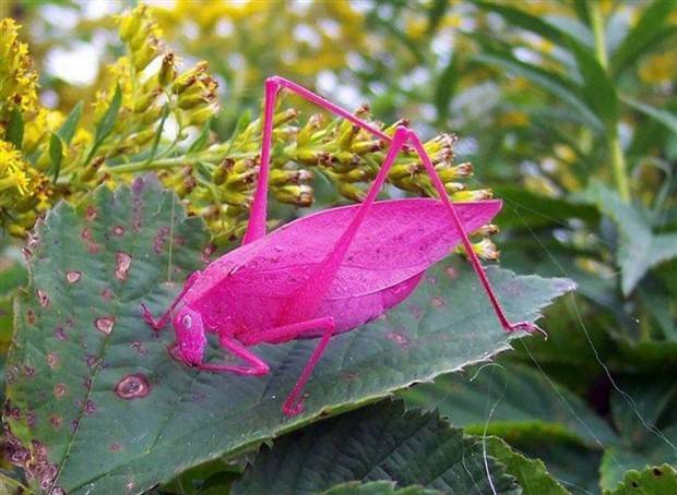 Klyker Picdump #1136 (55 photos)