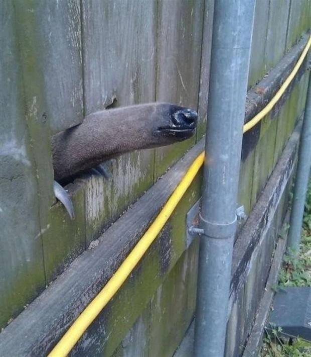 Klyker Picdump #1136 (55 photos)