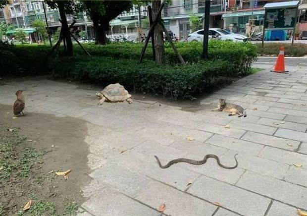 Klyker Picdump #1139 (53 photos)