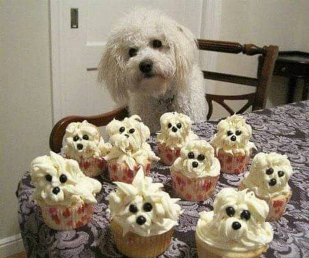 Klyker Picdump #1139 (53 photos)