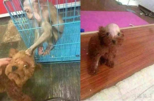 Klyker Picdump #1139 (53 photos)