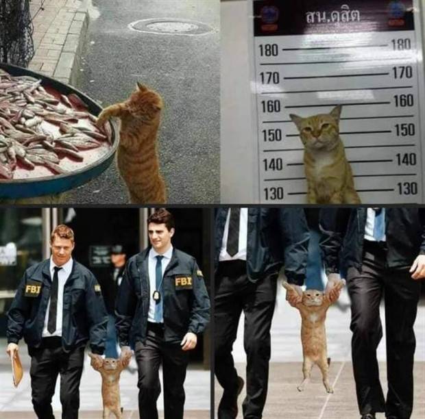 Klyker Picdump #1139 (53 photos)