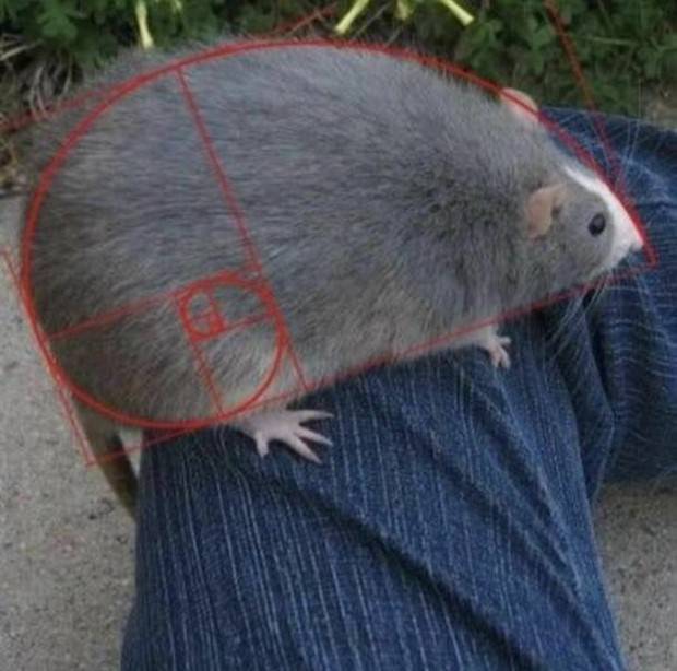 Klyker Picdump #1139 (53 photos)