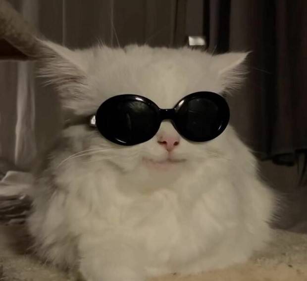 Klyker Picdump #1144 (53 photos)