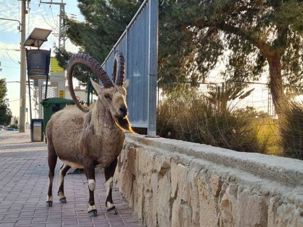 Klyker Picdump #1144 (53 photos)