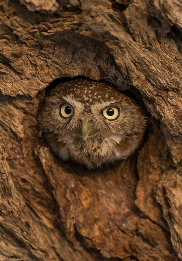 Klyker Picdump #1144 (53 photos)