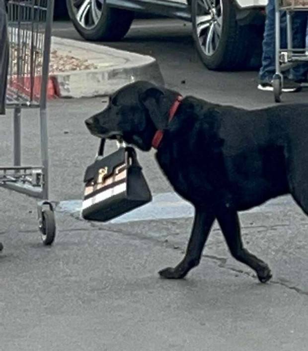 Klyker Picdump #1144 (53 photos)