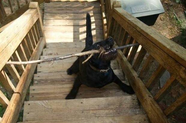 Klyker Picdump #1144 (53 photos)