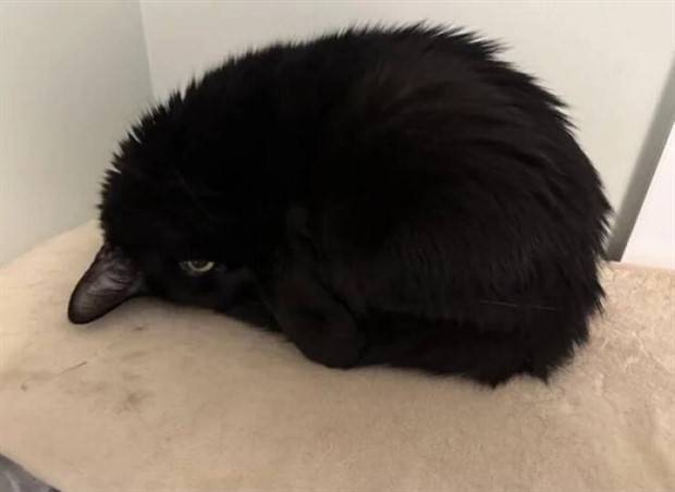 Look Twice #12 (40 photos)