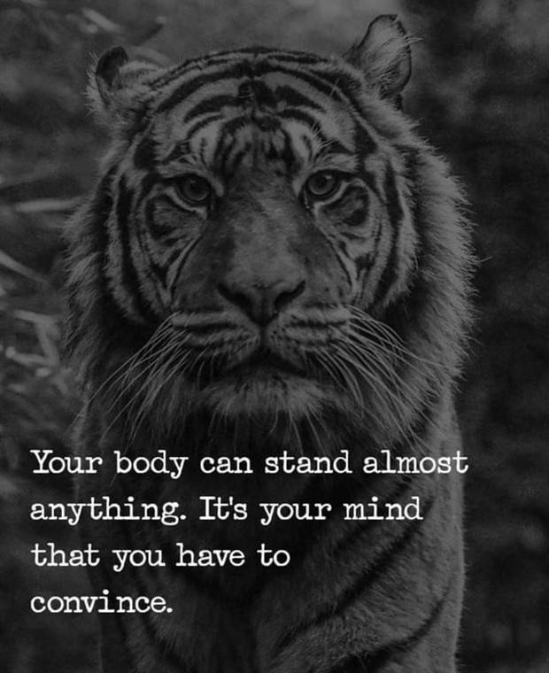 Motivational Quotes We All Need #38 (28 photos)