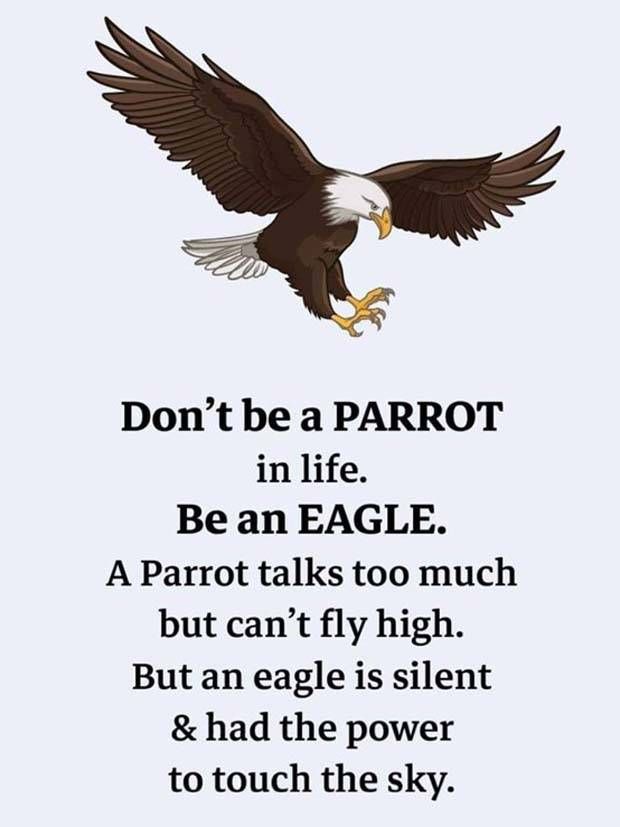 Motivational Quotes We All Need #39 (27 photos)