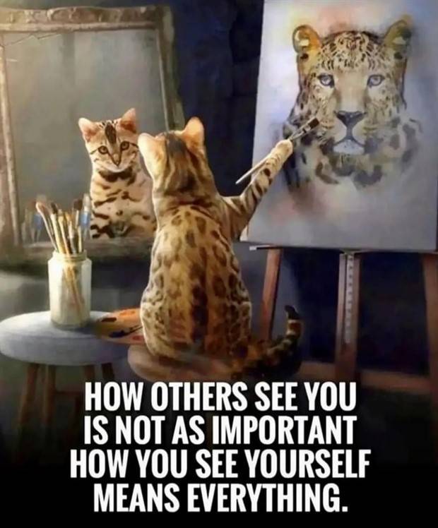 Motivational Quotes We All Need #39 (27 photos)