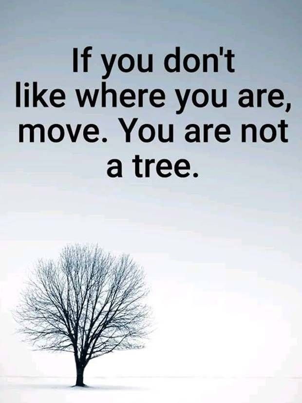 Motivational Quotes We All Need #39 (27 photos)