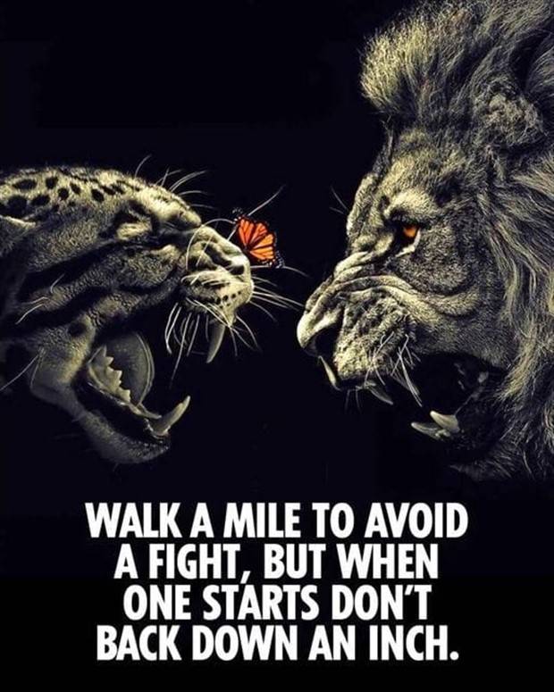 Motivational Quotes We All Need #39 (27 photos)